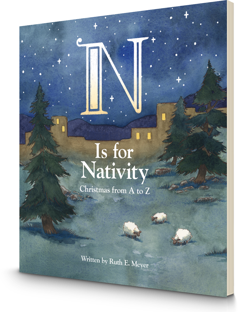 N is for Nativity